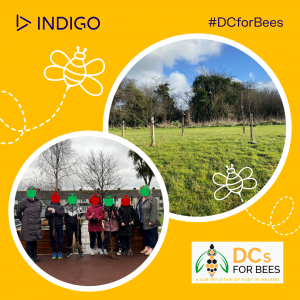 Indigo take part in DC for Bees
