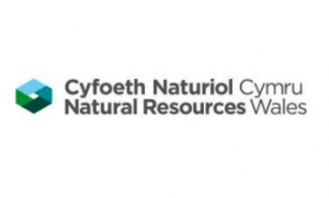 Registered Waste Carrier Logo